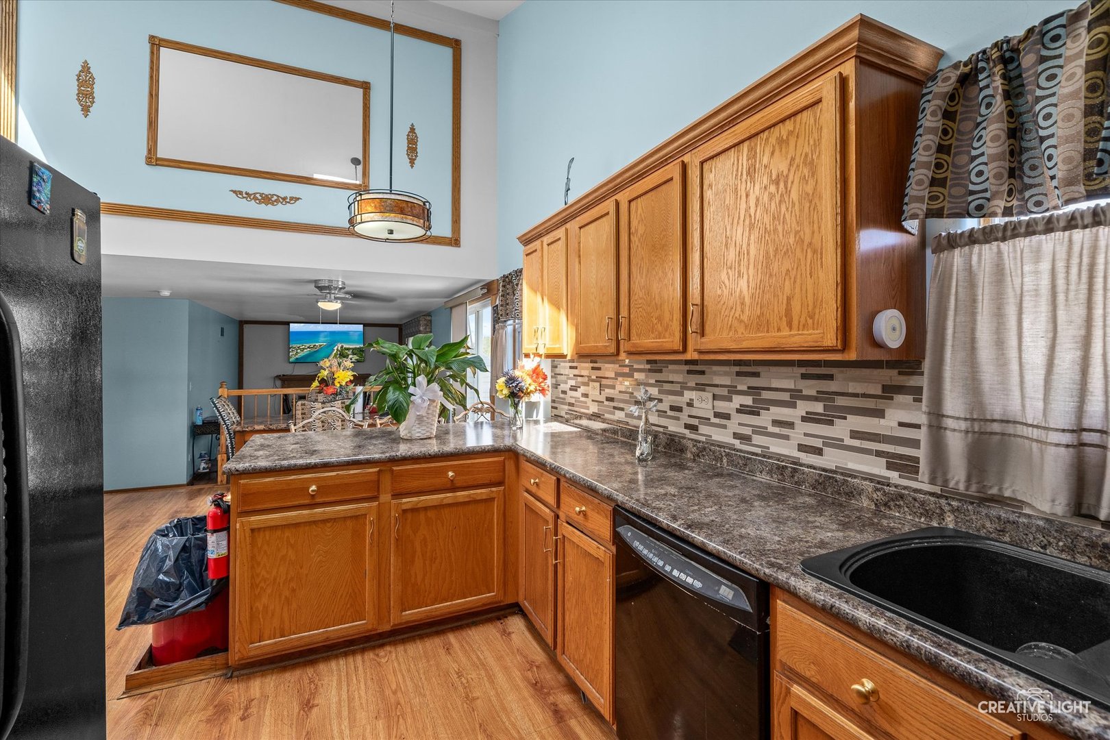 1504 Lasser Drive Plainfield IL 60586