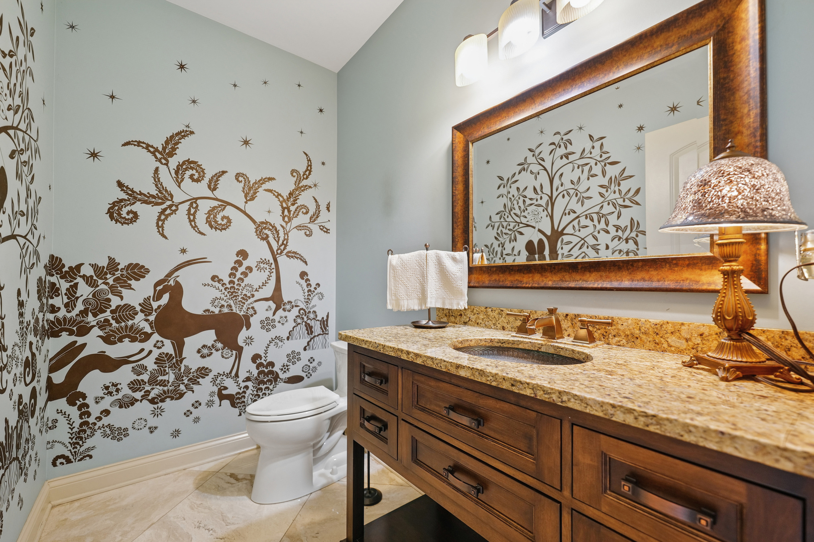 3508 Redwing Court Naperville IL 60564