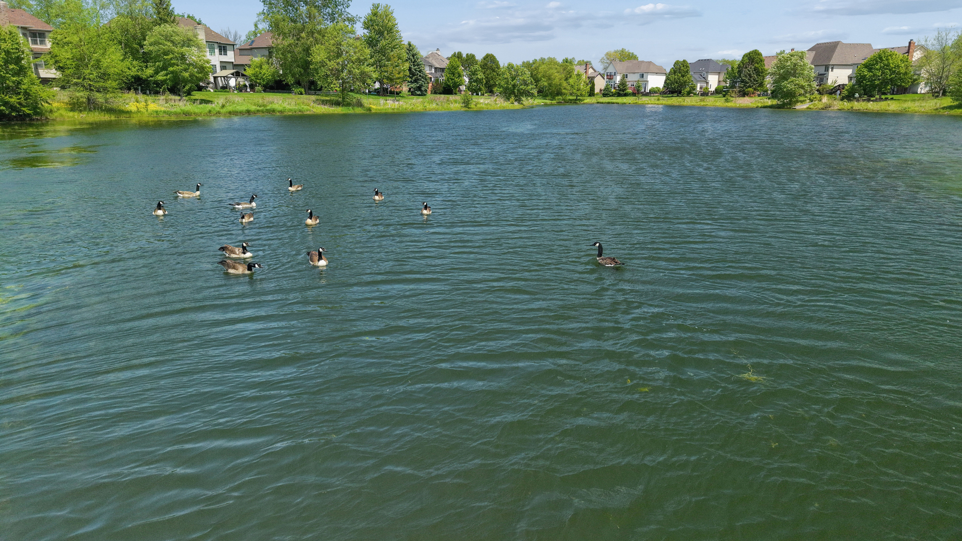 3508 Redwing Court Naperville IL 60564