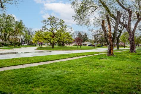 1115 Campbell Avenue Chicago Heights IL 60411
