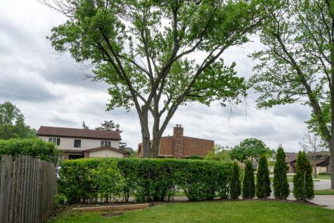 8917 Birch Avenue Morton Grove IL 60053