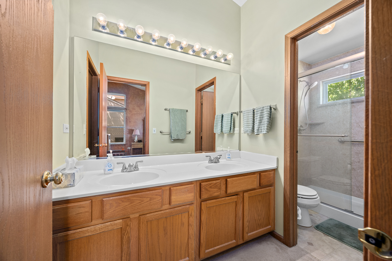 205 Woodlet Lane Bolingbrook IL 60490
