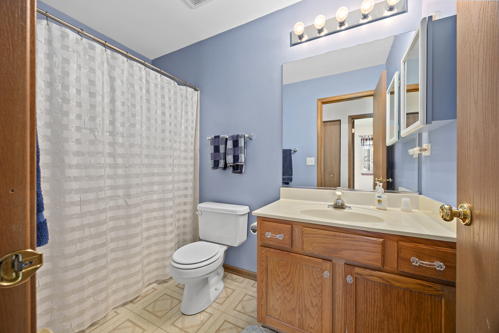 205 Woodlet Lane Bolingbrook IL 60490