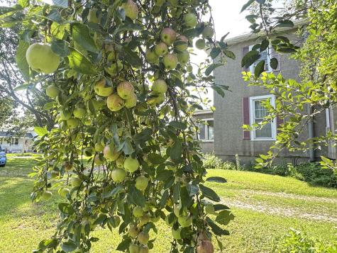 202 South Locust Street Malden IL 61337