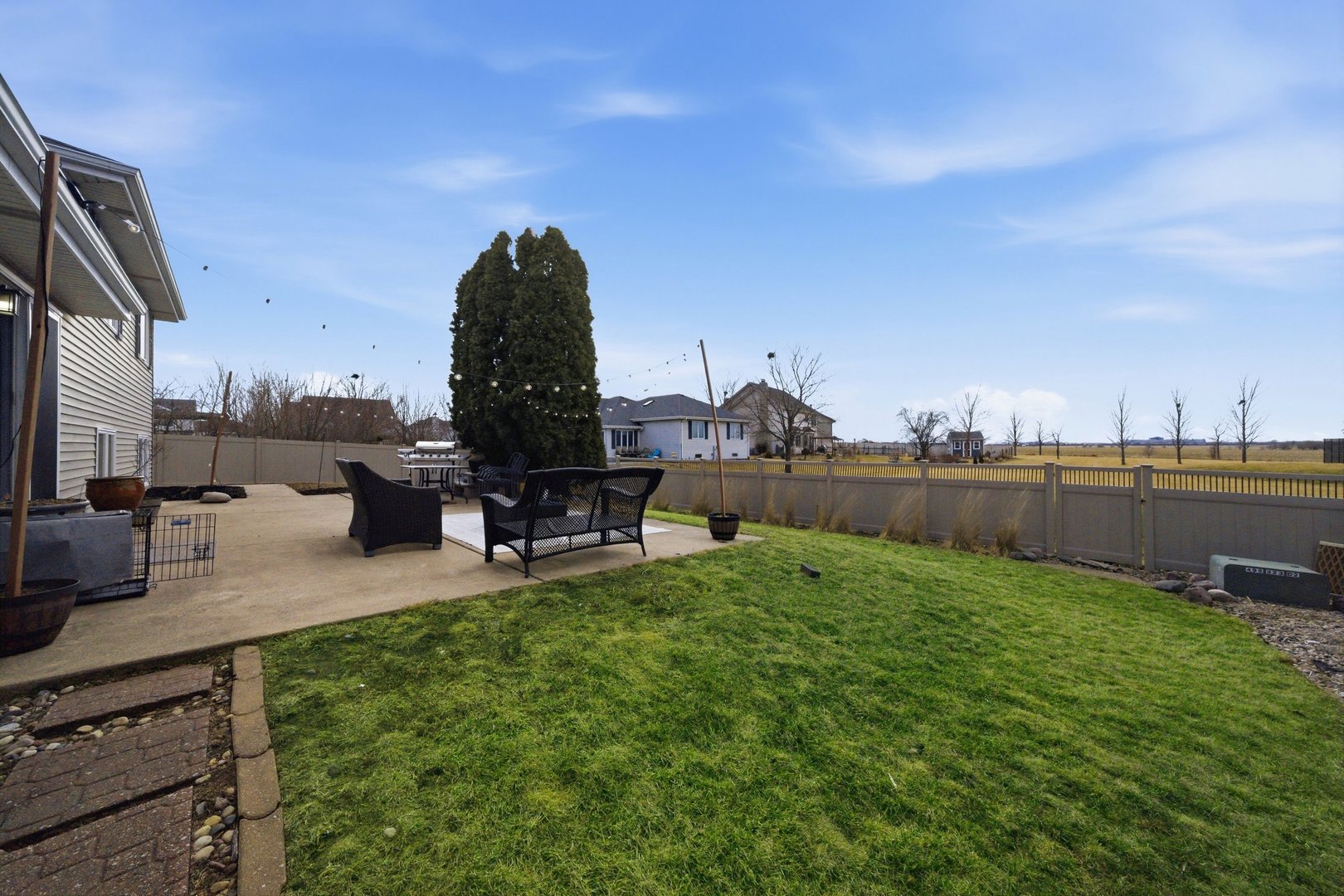2665 Daniel Lewis Drive New Lenox IL 60451