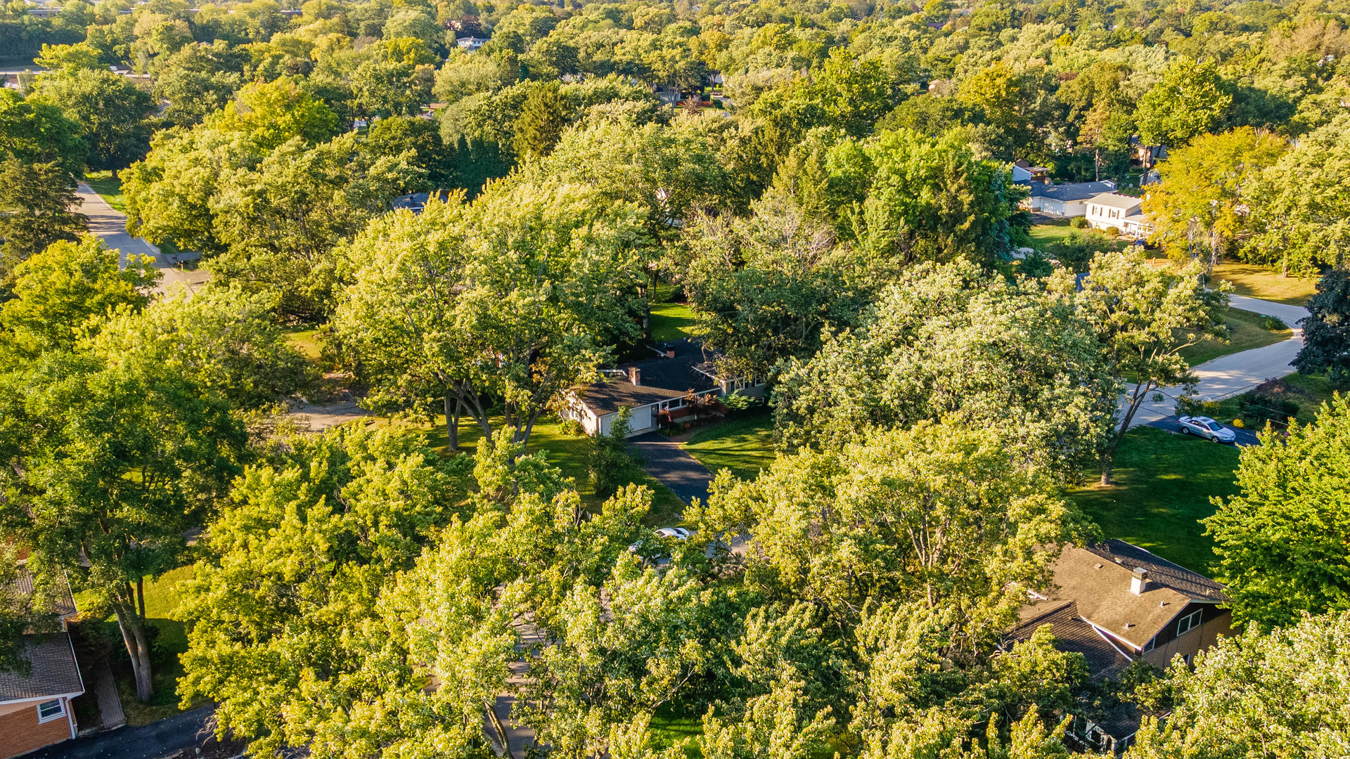 3S240 Burr Oak Drive Glen Ellyn IL 60137