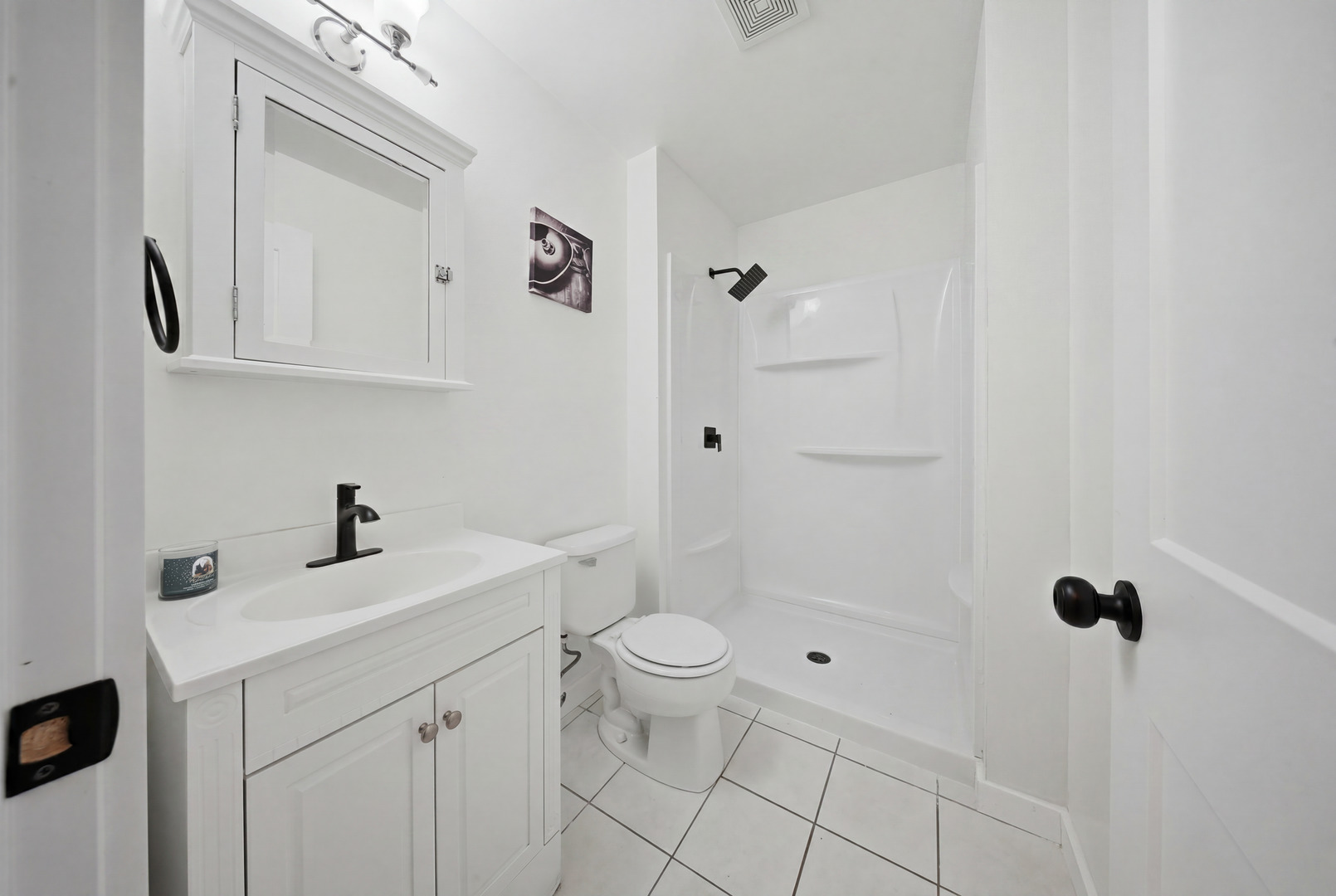 5313 Briarfield Lane Lake In The Hills IL 60156