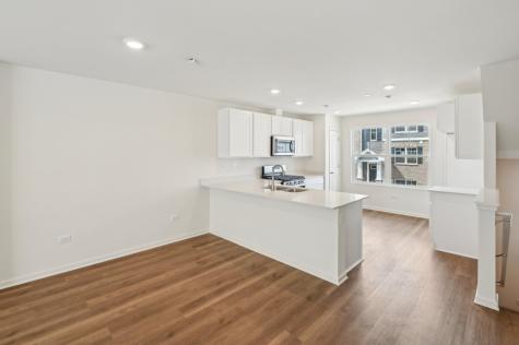 17323 Ulster Drive Tinley Park IL 60477