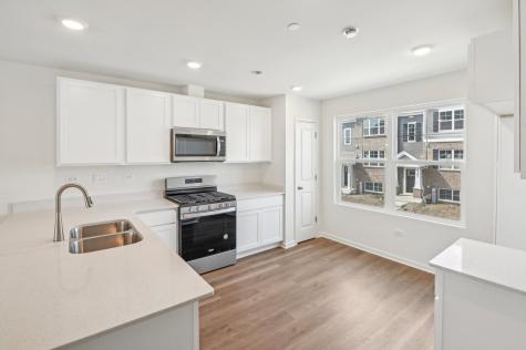 17323 Ulster Drive Tinley Park IL 60477