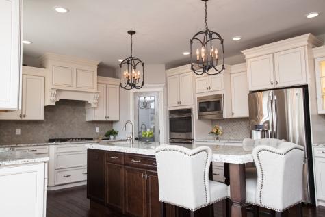 451 Pheasant Hill Drive North Aurora IL 60542