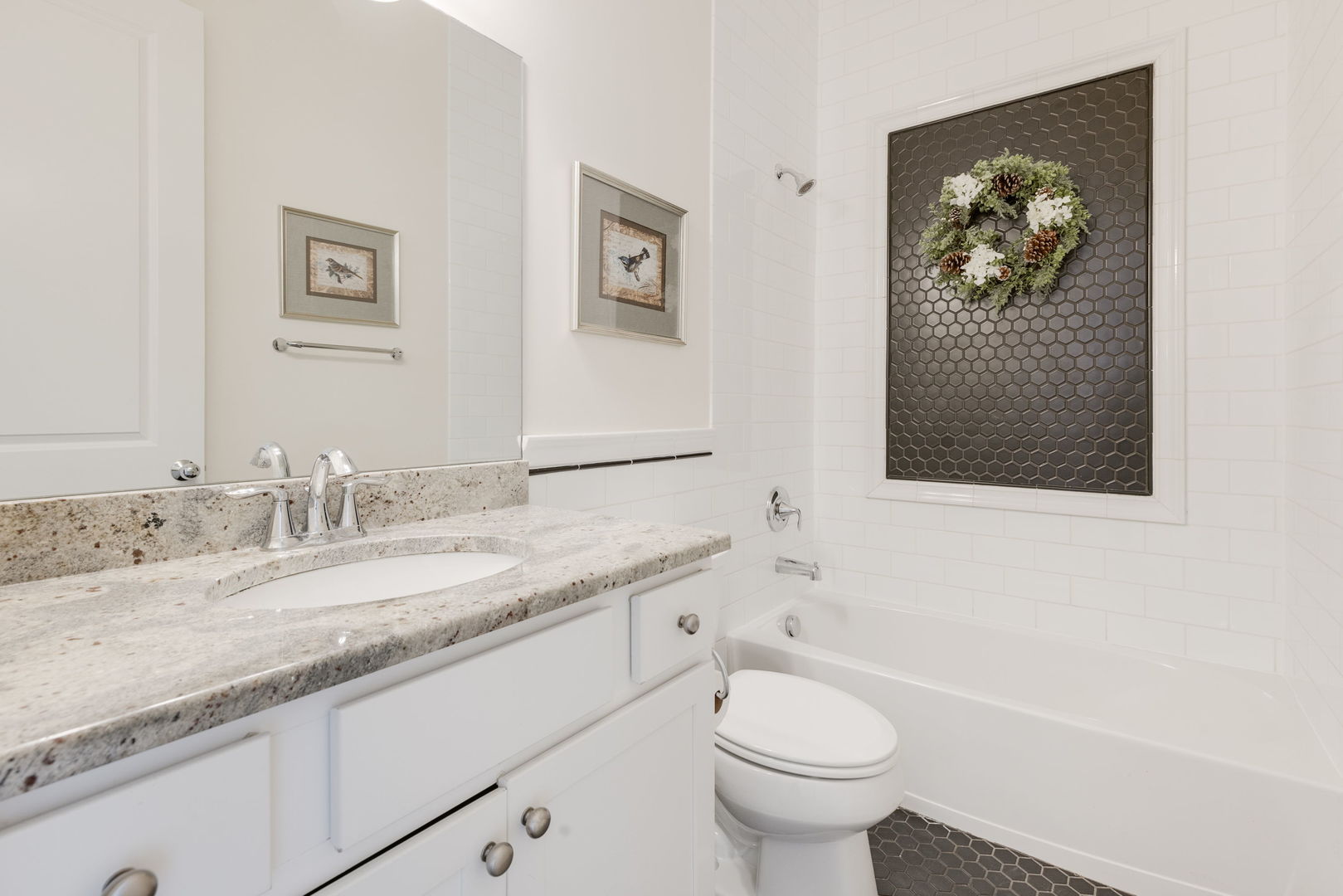 905 Hickory Drive Western Springs IL 60558