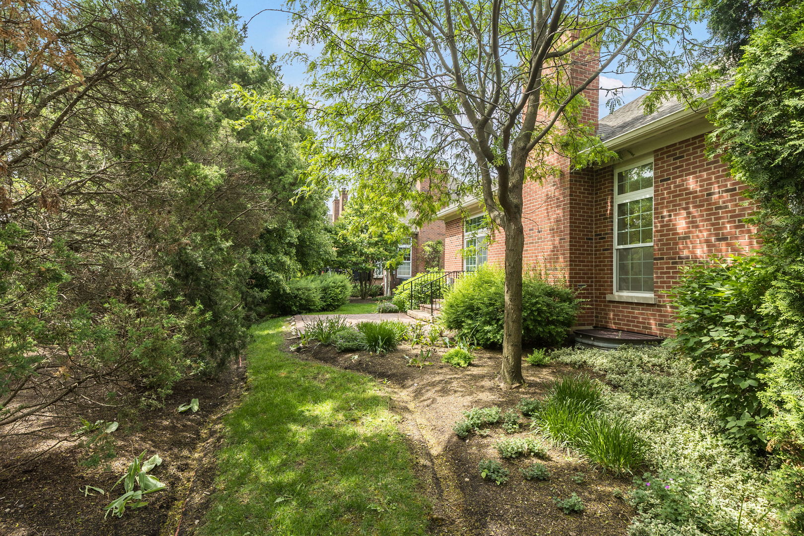 905 Hickory Drive Western Springs IL 60558