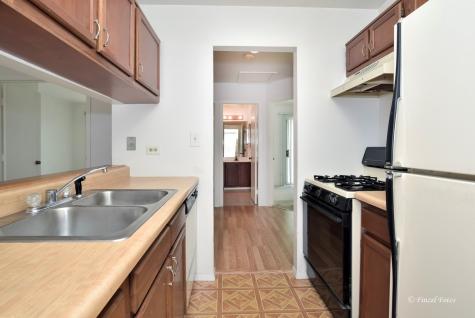 7468 Filmore Avenue Hanover Park IL 60133
