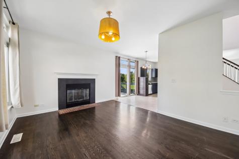 254 West Holly Court Round Lake IL 60073