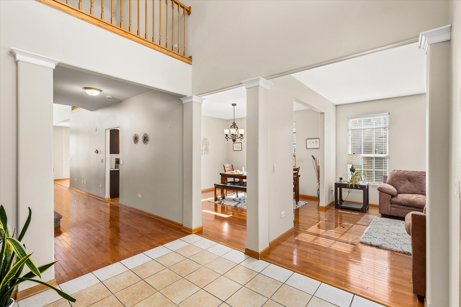 402 South Palmer Drive Bolingbrook IL 60490