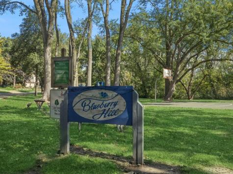 156 Blueberry Road Libertyville IL 60048