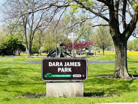 256 West Kathleen Drive Des Plaines IL 60016