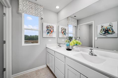 2633 Camelback Lane Pingree Grove IL 60140