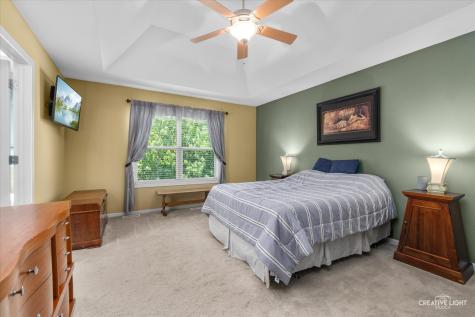1138 Grace Drive Yorkville IL 60560