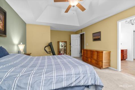 1138 Grace Drive Yorkville IL 60560