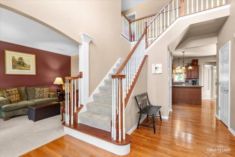 1138 Grace Drive Yorkville IL 60560