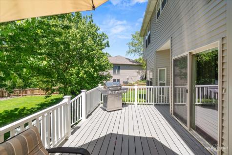 1138 Grace Drive Yorkville IL 60560