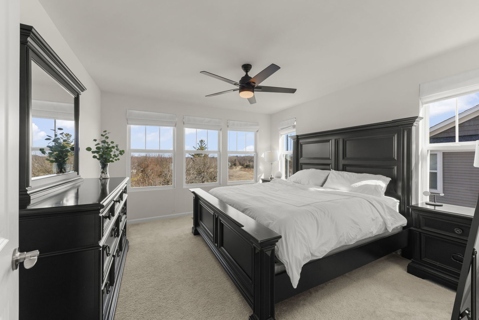941 Coletta Circle Naperville IL 60563