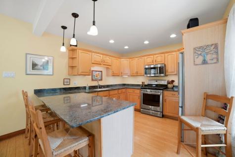 234 Franklin Avenue River Forest IL 60305