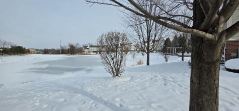 4325 Timber Ridge Court Joliet IL 60431