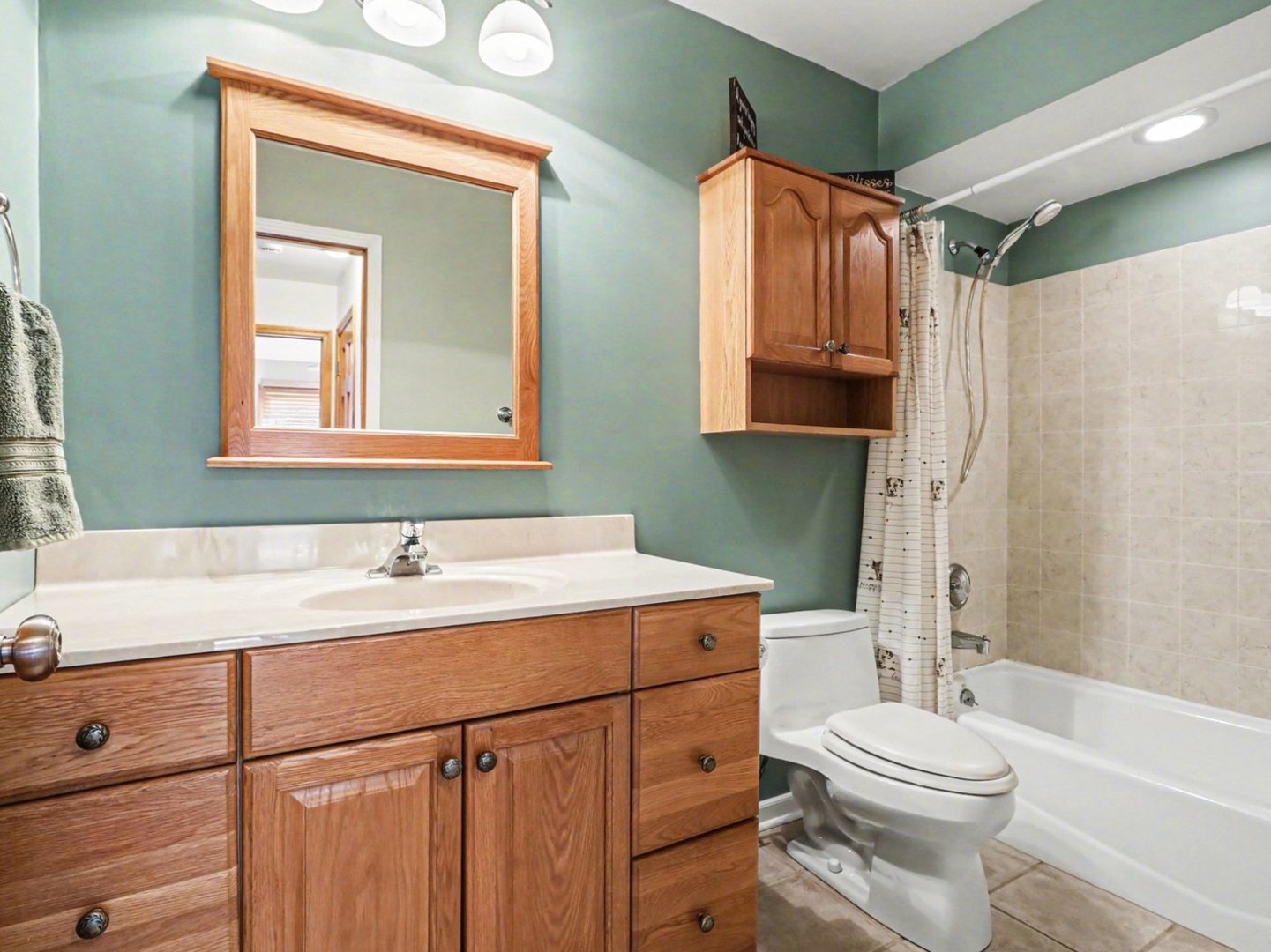 10S287 Alma Lane Naperville IL 60564