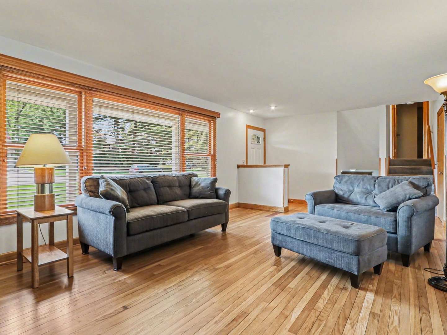 10S287 Alma Lane Naperville IL 60564