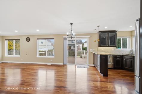 3161 Hopewell Drive Aurora IL 60502