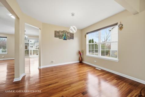 3161 Hopewell Drive Aurora IL 60502