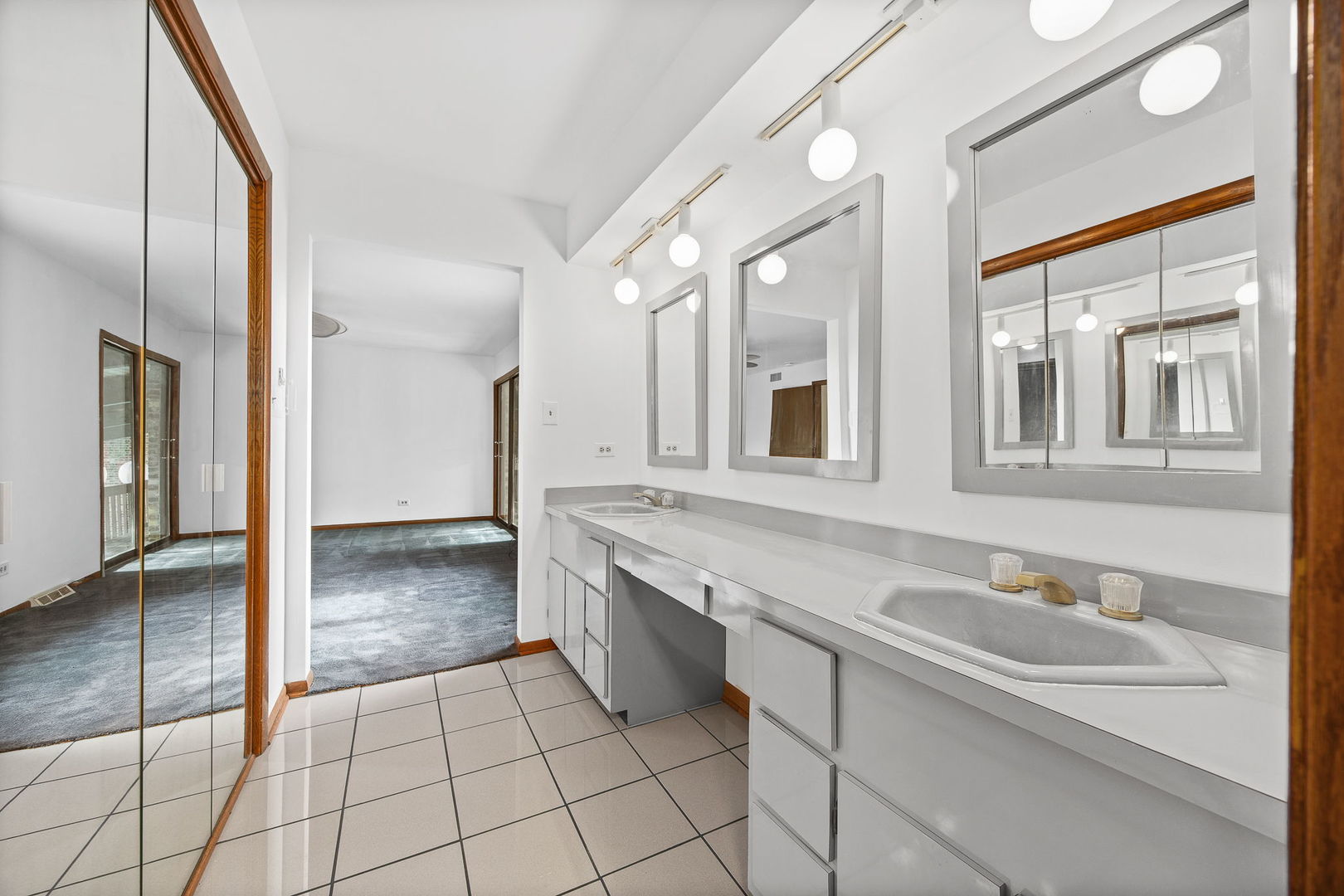 8405 Carriage Green Drive Darien IL 60561