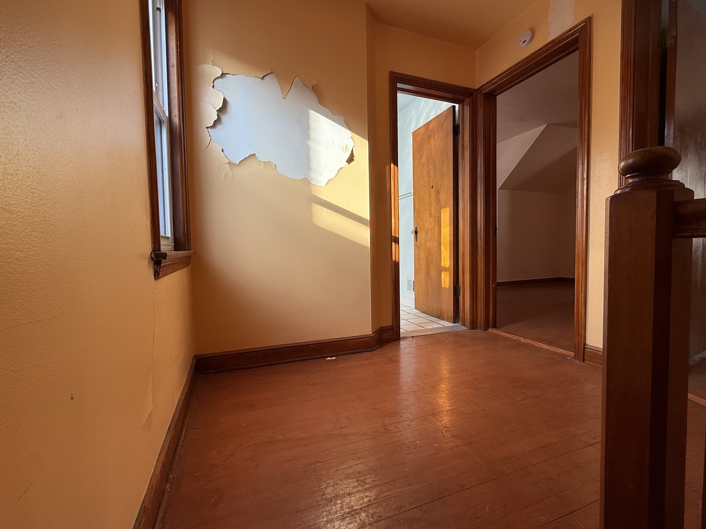 9134 South Paxton Avenue Chicago IL 60617