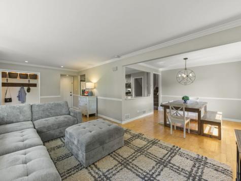 205 Terrance Drive Naperville IL 60565