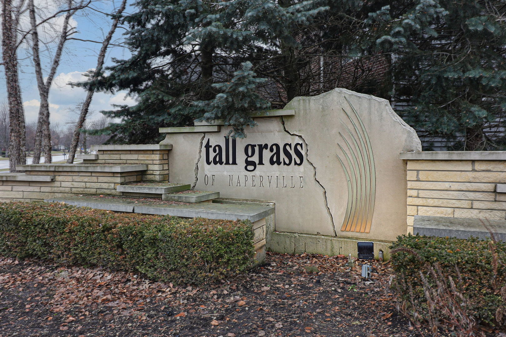 3807 Landsdown Avenue Naperville IL 60564