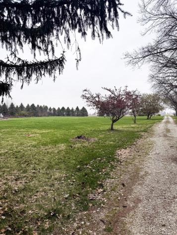 1599 East 2700 North Road Clifton IL 60927