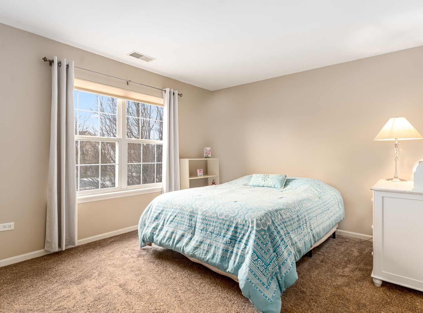 719 Eagle Brook Lane Naperville IL 60565