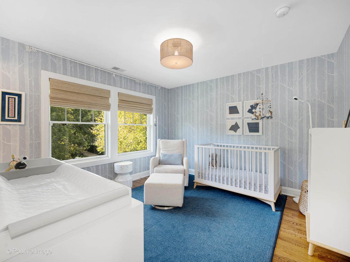 21 South Bruner Street Hinsdale IL 60521