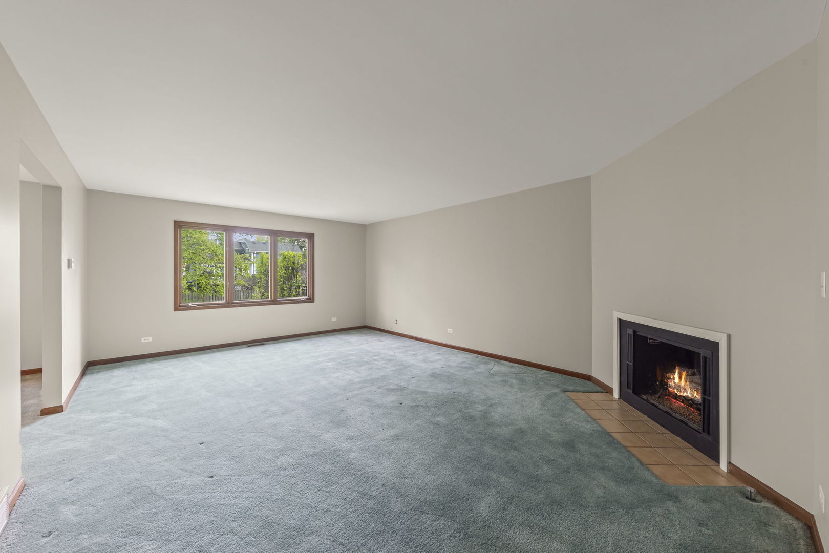 419 West Evergreen Street Wheaton IL 60187
