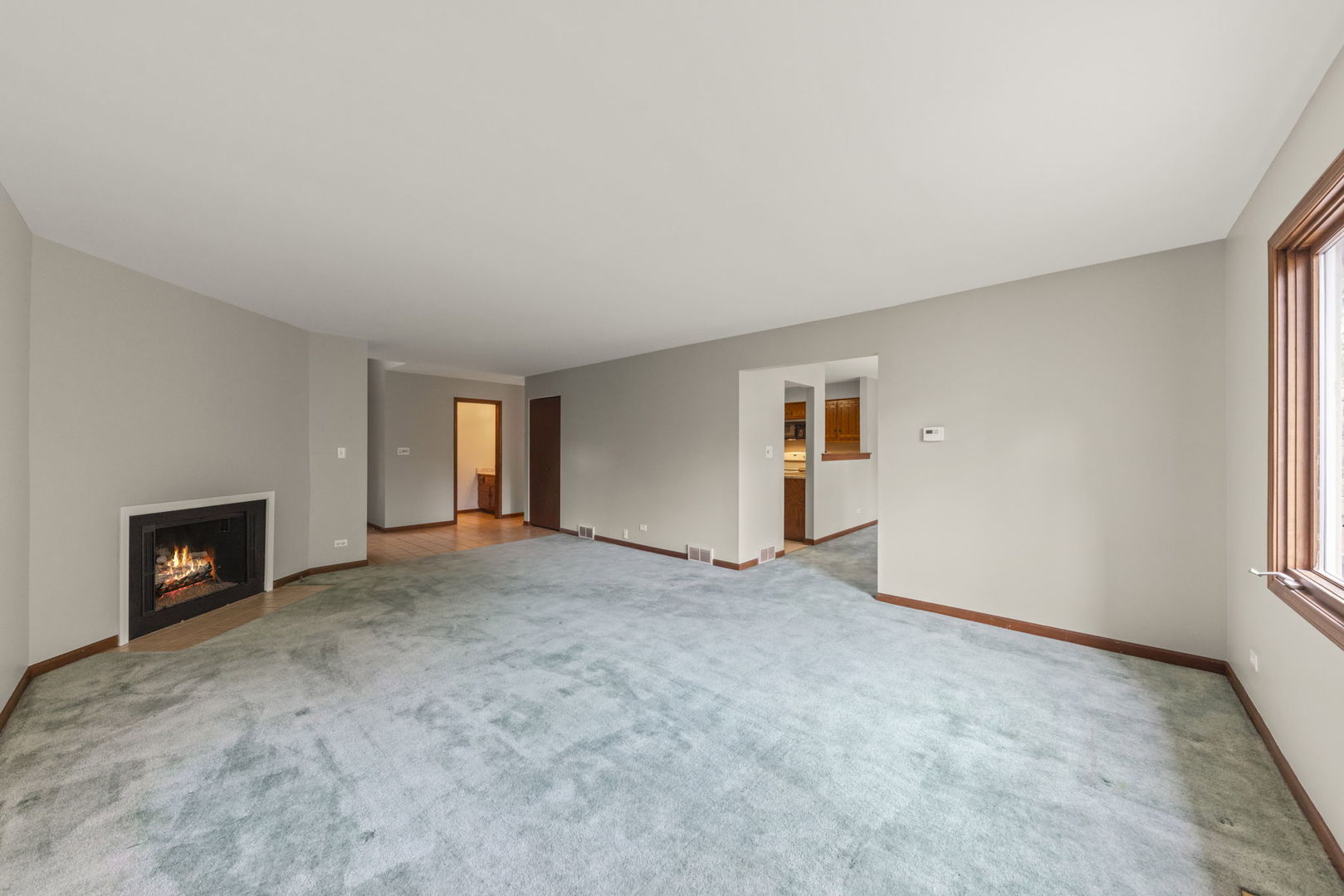 419 West Evergreen Street Wheaton IL 60187
