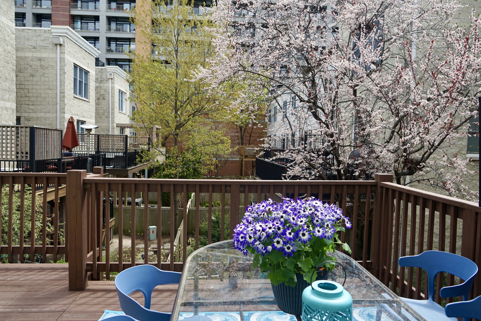 19 West 15th Street Chicago IL 60605