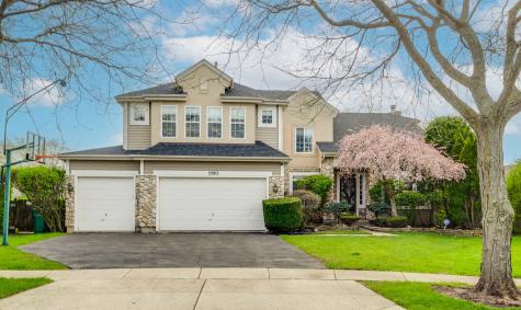 2203 Miramar Court Buffalo Grove IL 60089