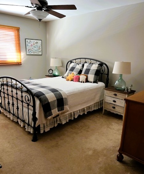 19838 Patricia Lane Mokena IL 60448