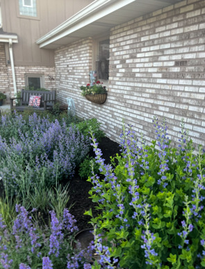 19838 Patricia Lane Mokena IL 60448