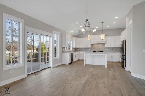20336 Mackinac Point Drive Frankfort IL 60423