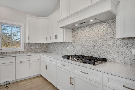 20336 Mackinac Point Drive Frankfort IL 60423
