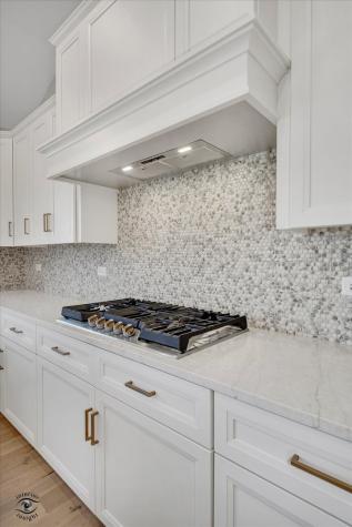 20336 Mackinac Point Drive Frankfort IL 60423