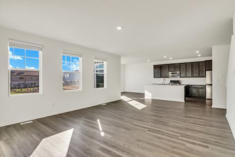 1259 Tiger Lily Drive Bartlett IL 60103